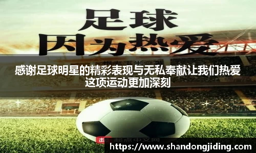 感谢足球明星的精彩表现与无私奉献让我们热爱这项运动更加深刻